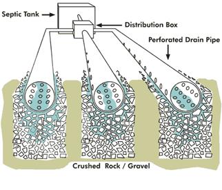 What are septic tank leach lines